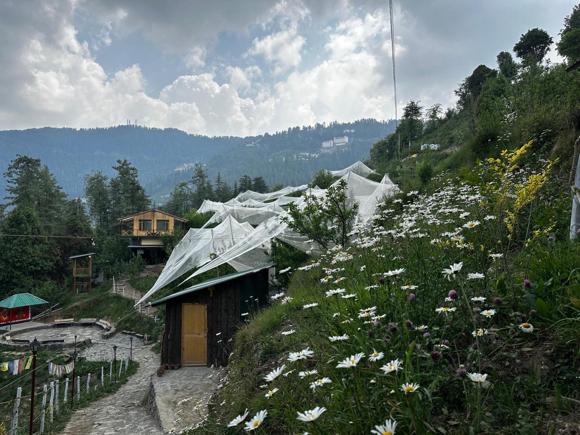 Daak Bangla Retreat Ξενοδοχείο Kufri Εξωτερικό φωτογραφία