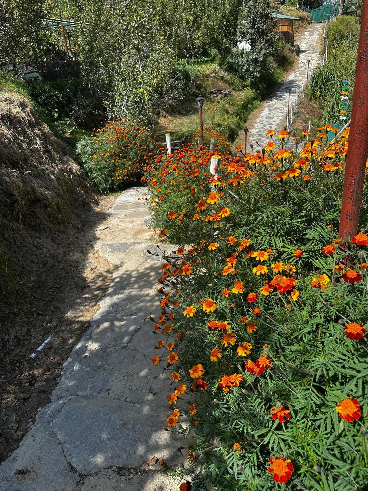 Daak Bangla Retreat Ξενοδοχείο Kufri Εξωτερικό φωτογραφία