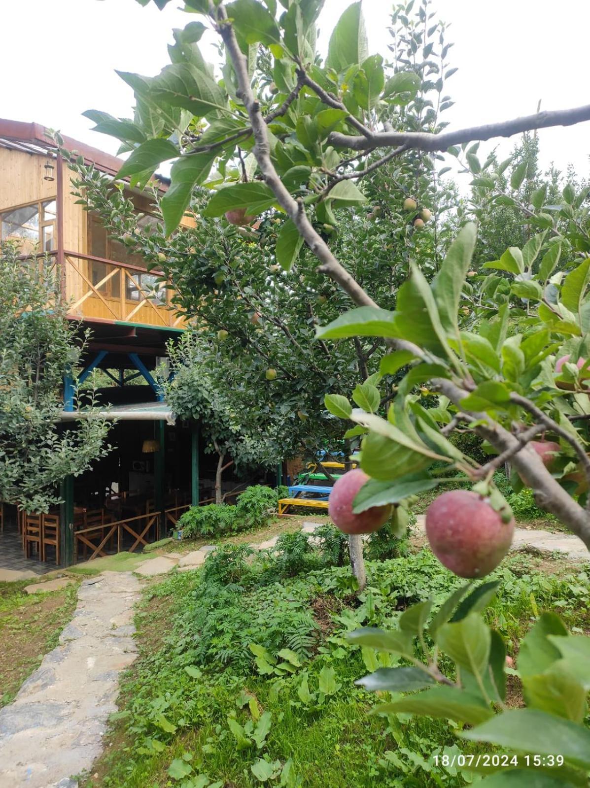 Daak Bangla Retreat Ξενοδοχείο Kufri Εξωτερικό φωτογραφία