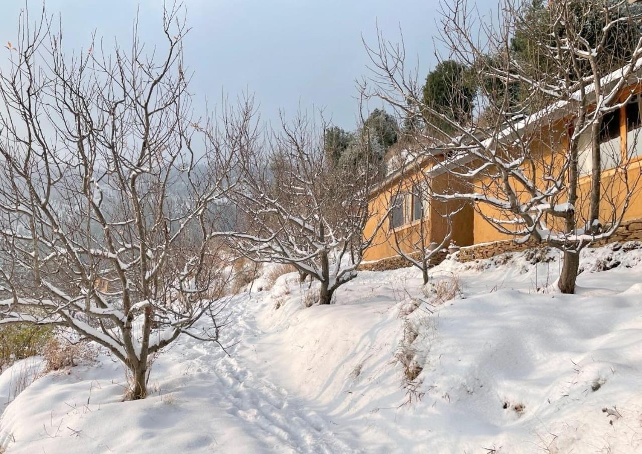 Daak Bangla Retreat Ξενοδοχείο Kufri Εξωτερικό φωτογραφία