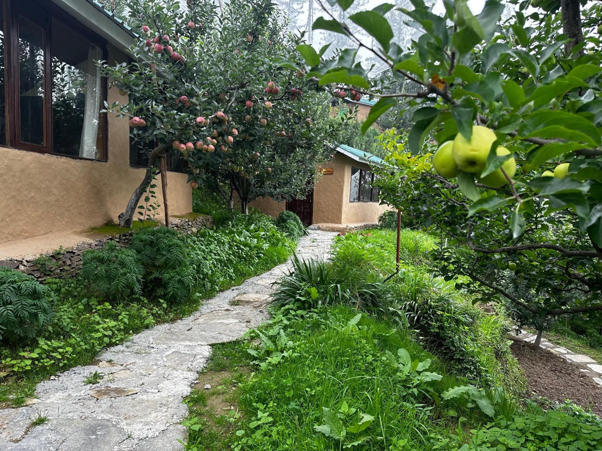 Daak Bangla Retreat Ξενοδοχείο Kufri Εξωτερικό φωτογραφία