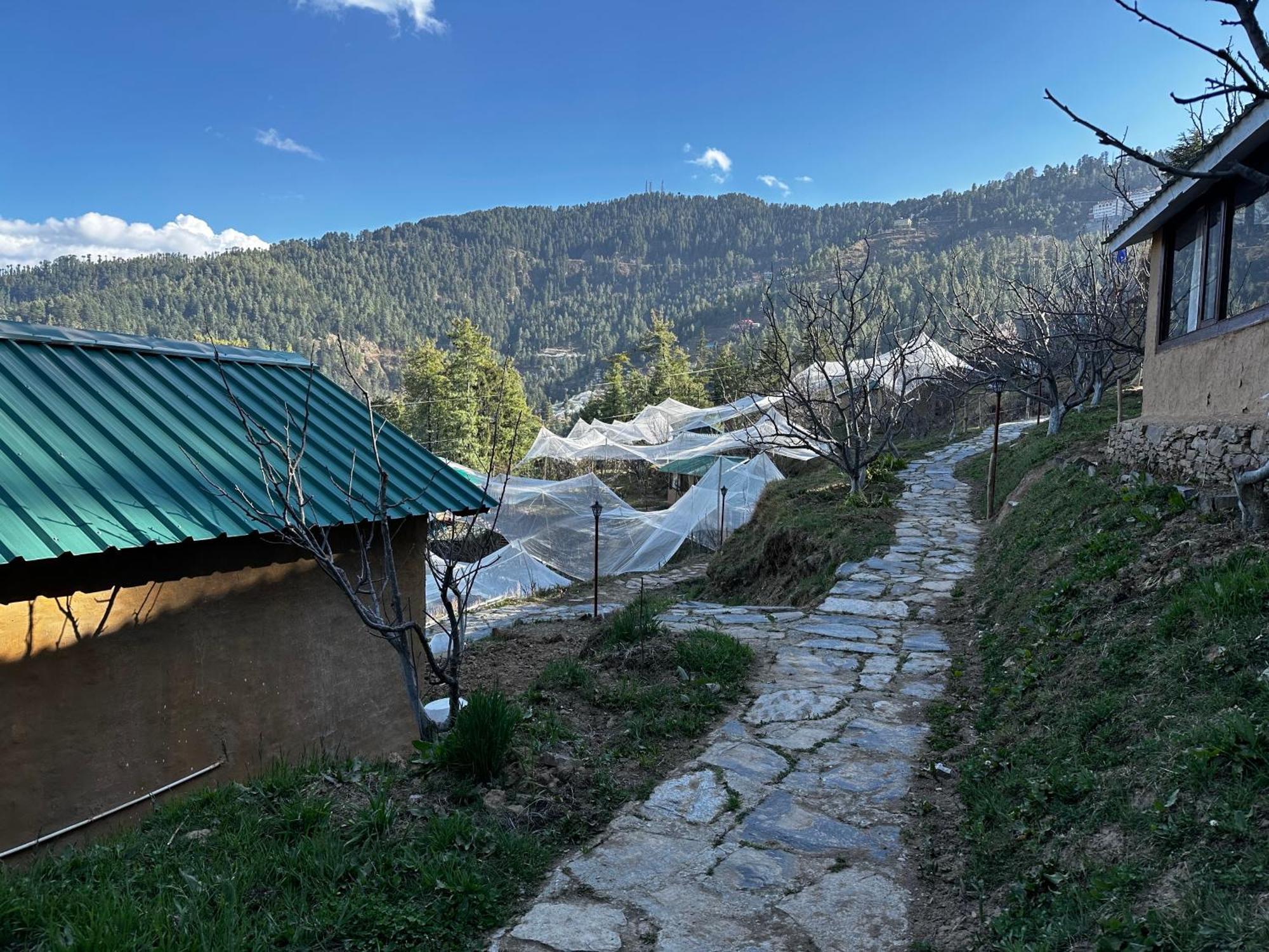 Daak Bangla Retreat Ξενοδοχείο Kufri Εξωτερικό φωτογραφία
