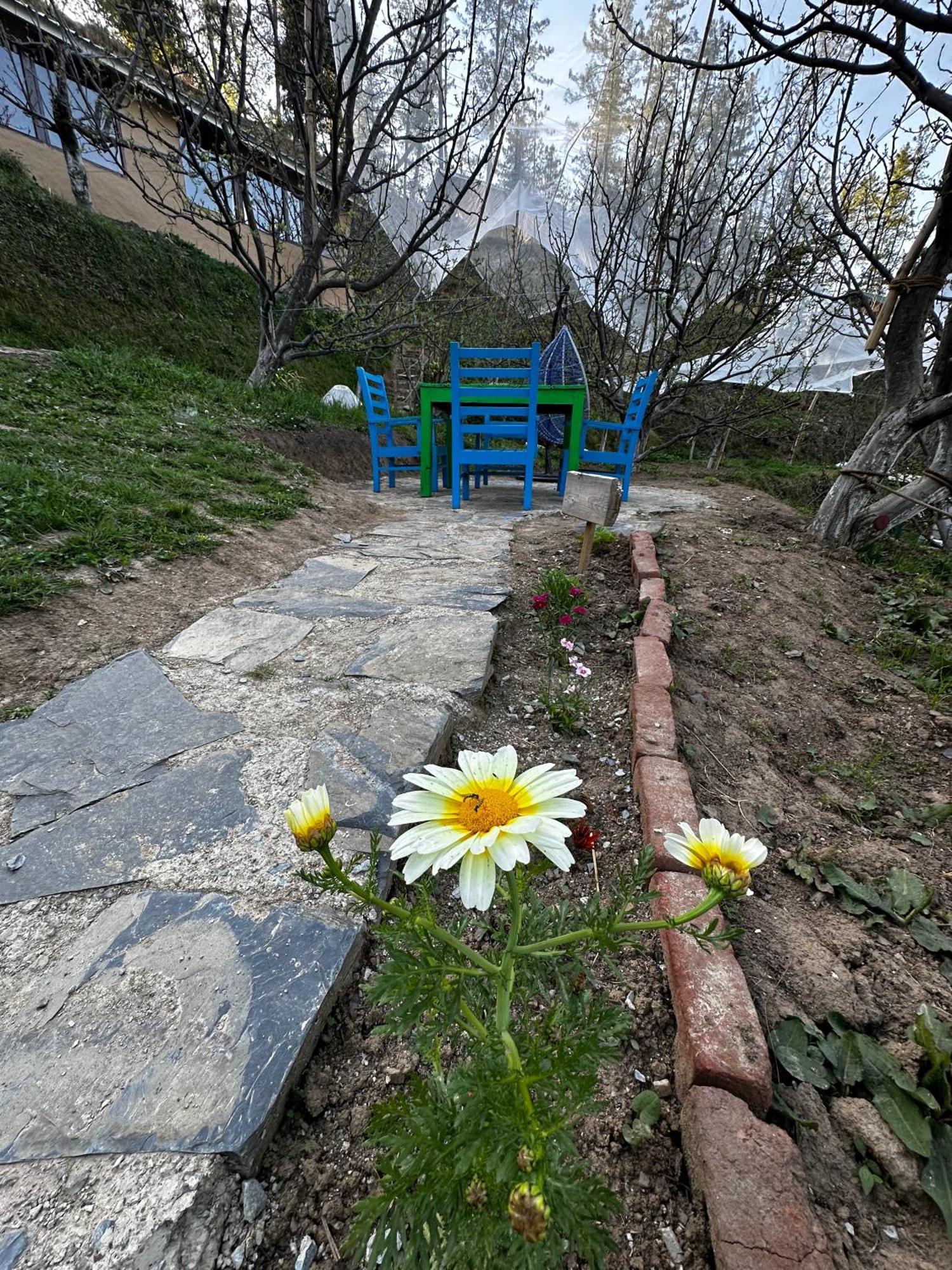 Daak Bangla Retreat Ξενοδοχείο Kufri Εξωτερικό φωτογραφία